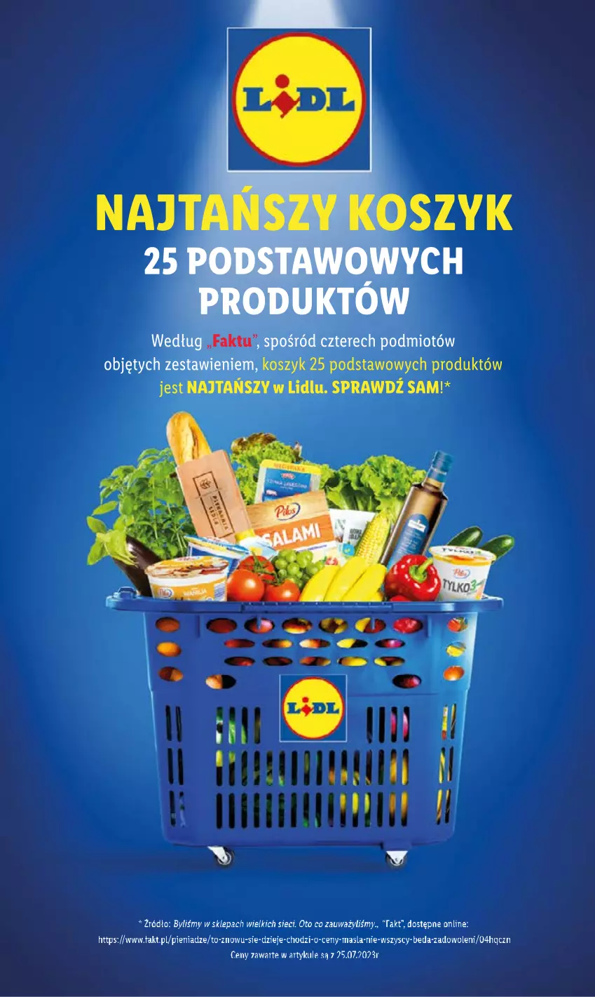 Gazetka promocyjna Lidl - GAZETKA - ważna 03.08 do 05.08.2023 - strona 3 - produkty: Fa, Kosz