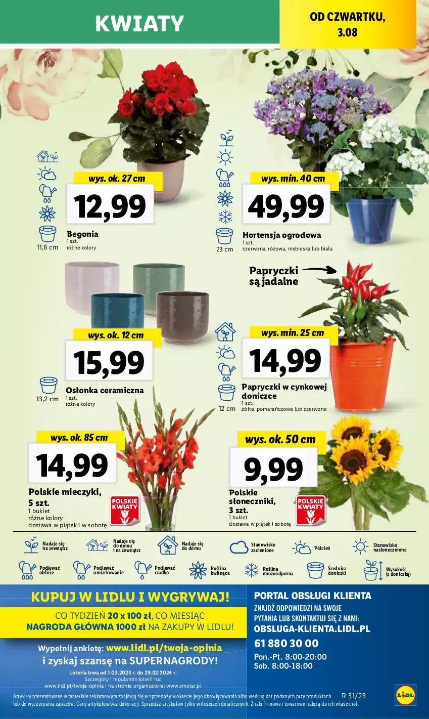 Gazetka promocyjna Lidl - GAZETKA - ważna 03.08 do 05.08.2023 - strona 87 - produkty: Bukiet, Cynk, Gry, Miecz, Mola