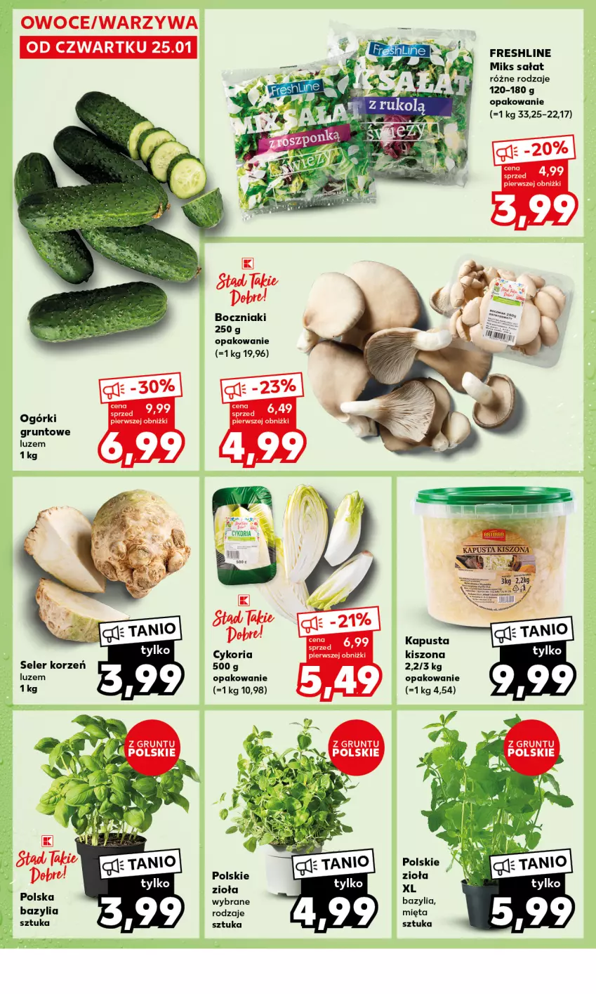 Gazetka promocyjna Kaufland - Mocny Start - ważna 29.01 do 31.01.2024 - strona 14 - produkty: Bazyl, Bazylia, Boczniak, Grunt, Mięta, Owoce, Sałat, Seler korzeń, Warzywa