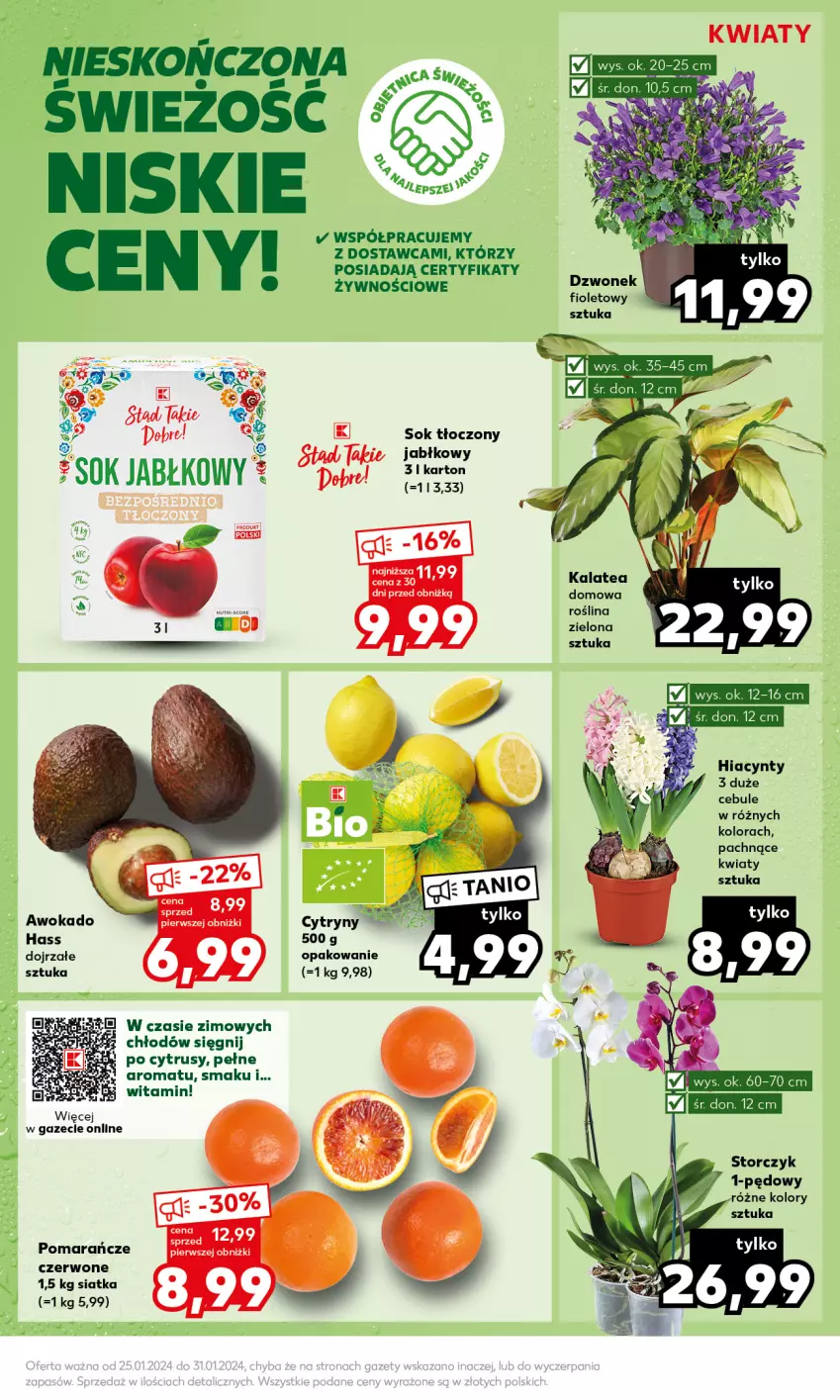 Gazetka promocyjna Kaufland - Mocny Start - ważna 29.01 do 31.01.2024 - strona 15 - produkty: Dzwonek, Hiacynt, Pomarańcze, Siatka, Sok