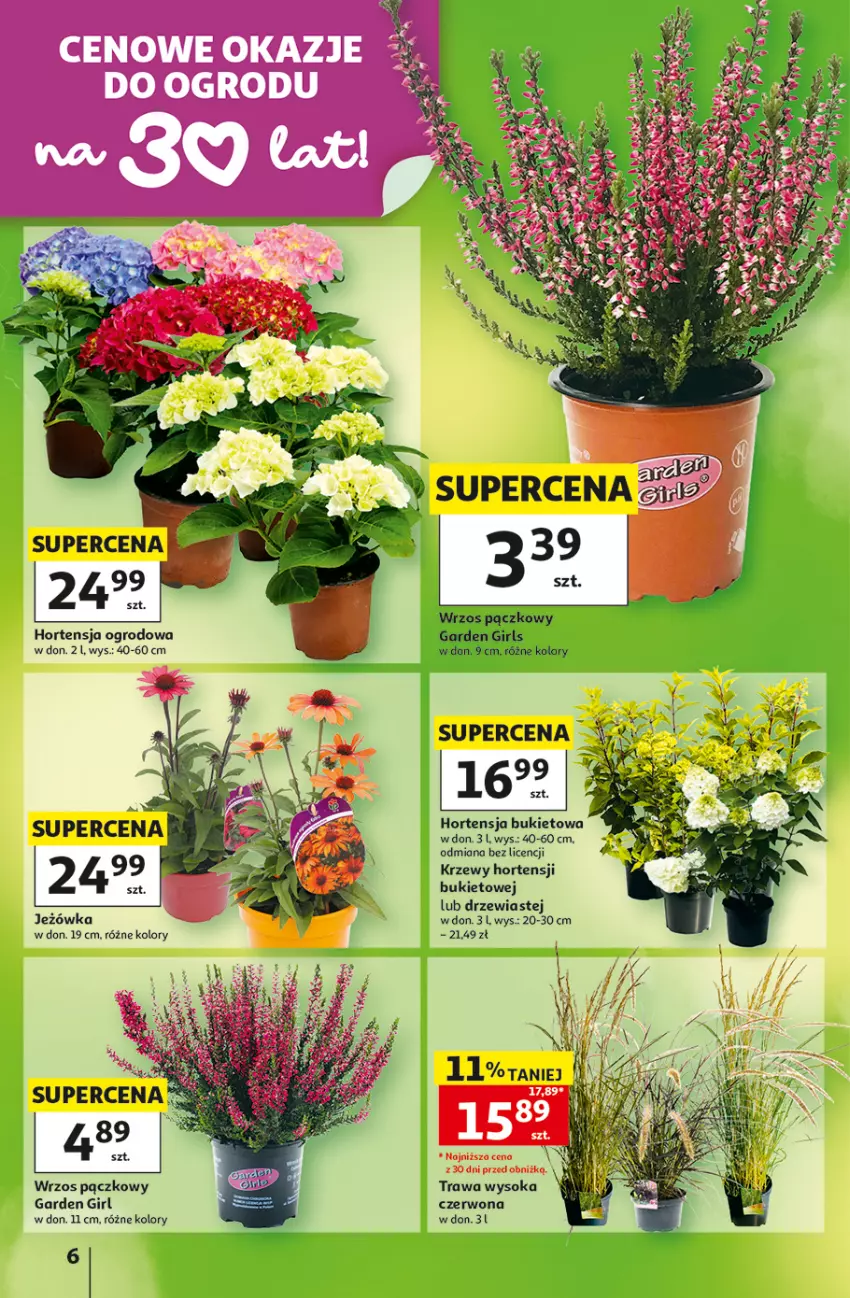 Gazetka promocyjna Auchan - Gazetka 30 Lat Hipermarket Auchan - ważna 20.08 do 26.08.2026 - strona 6 - produkty: Bukiet, Sok