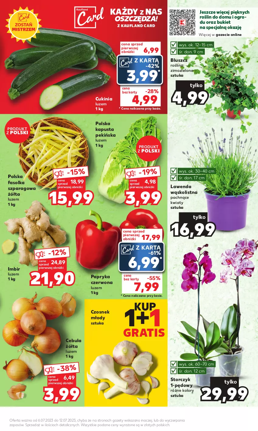 Gazetka promocyjna Kaufland - Mocny Start - ważna 10.07 do 12.07.2023 - strona 9 - produkty: Bukiet, Cebula, Czosnek, Fa, Gra, Imbir, Papryka, Papryka czerwona, Storczyk