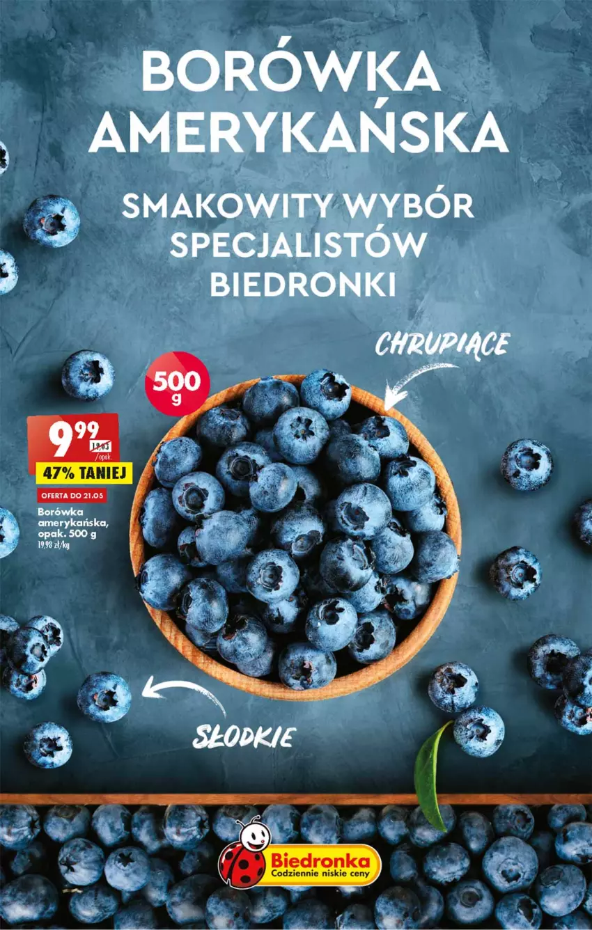 Gazetka promocyjna Biedronka - W tym tygodniu - ważna 19.05 do 25.05.2022 - strona 11 - produkty: Borówka, Borówka amerykańska, Dron