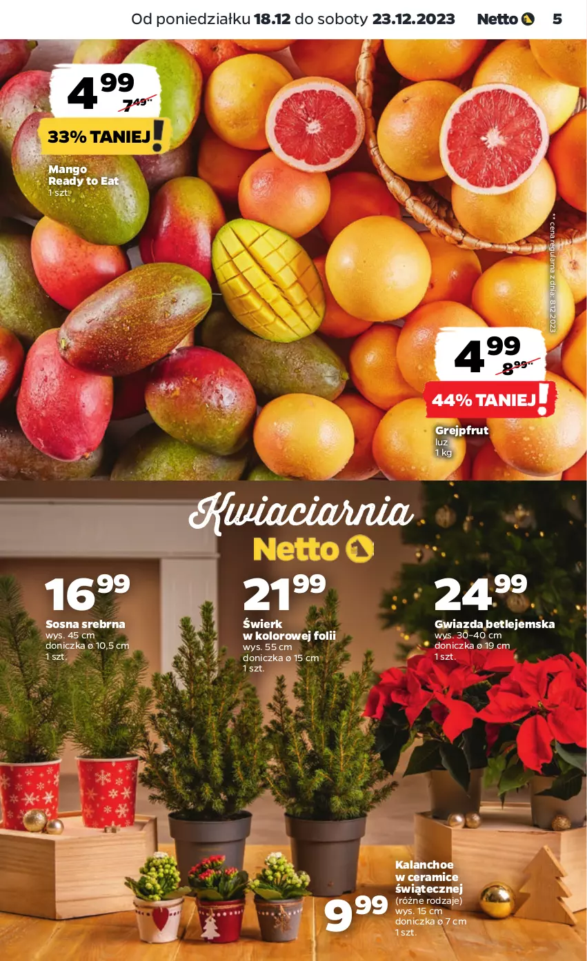 Gazetka promocyjna Netto - Artykuły spożywcze - ważna 18.12 do 23.12.2023 - strona 5 - produkty: Grejpfrut, Gwiazda, Kalanchoe, Mango, Sos