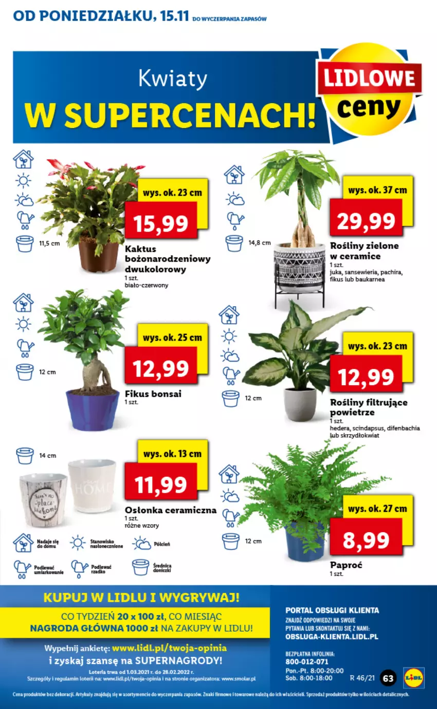 Gazetka promocyjna Lidl - GAZETKA - ważna 15.11 do 17.11.2021 - strona 63 - produkty: Chia, Cień, Fa, Gry, Kaktus, NBA, Osłonka, Por, Portal