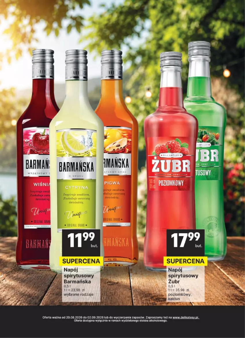 Gazetka promocyjna Delikatesy Centrum - Delibarek DC34-DC35 - ważna 20.08 do 02.09.2026 - strona 17 - produkty: Kaktus, Rama