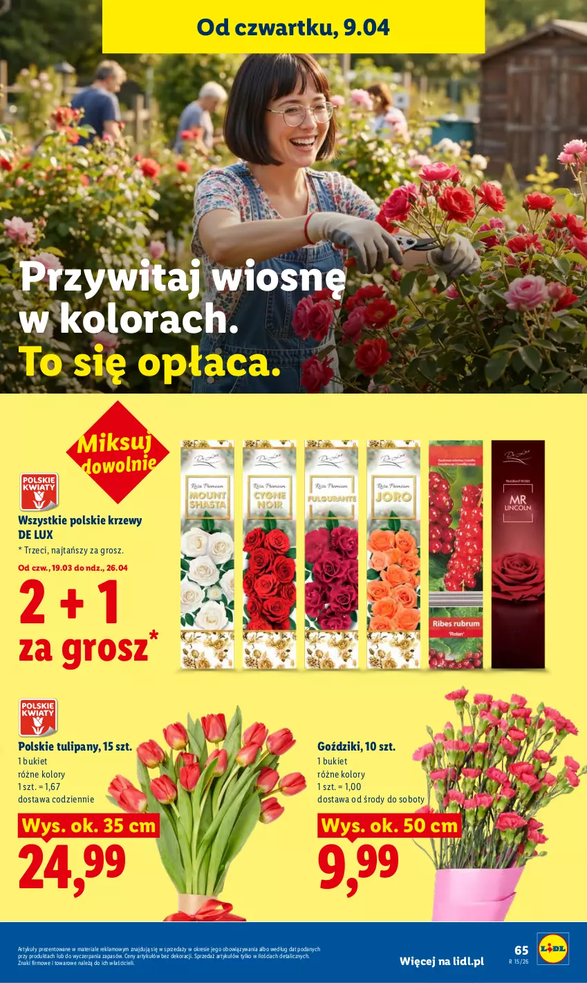 Gazetka promocyjna Lidl - Gazetka ważna od 9.04 do 11.04 - ważna 09.04 do 11.04.2026 - strona 65 - produkty: Bukiet, Tulipan