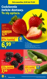 Gazetka promocyjna Lidl - Gazetka ważna od 9.04 do 11.04 - Gazetka - ważna od 11.04 do 11.04.2026 - strona 28 - produkty: Truskawki, Ogórek, Jeżyny, Olej