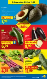 Gazetka promocyjna Lidl - Gazetka ważna od 9.04 do 11.04 - Gazetka - ważna od 11.04 do 11.04.2026 - strona 31 - produkty: Grunt
