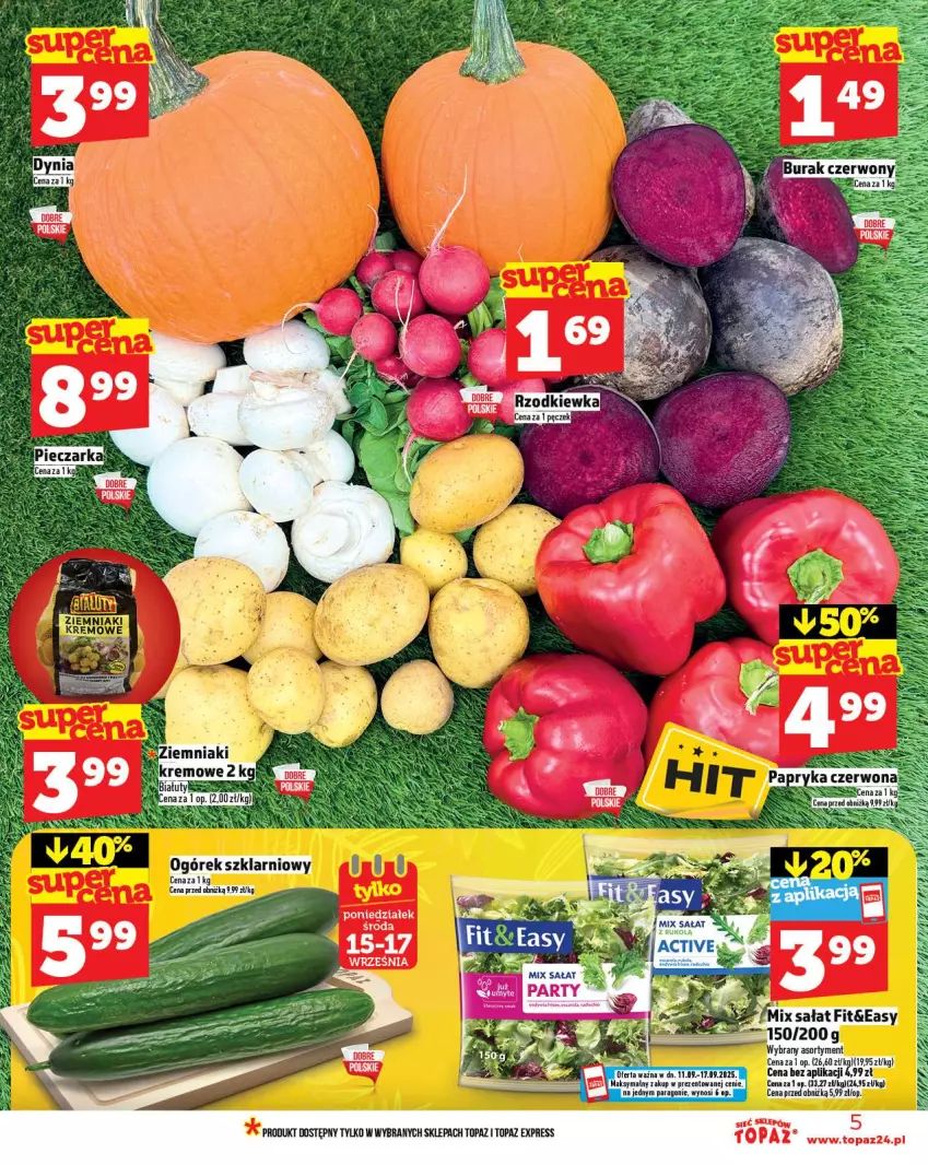 Gazetka promocyjna Topaz - Gazetka - ważna 11.09 do 17.09.2025 - strona 5 - produkty: Sałat, Top