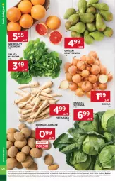 Gazetka promocyjna Stokrotka - Supermarket - Gazetka - ważna od 25.02 do 25.02.2026 - strona 8 - produkty: Cebula, Warzywa, Sałata masłowa, Pietruszka, Ziemniaki, Sałat, Optima, Gruszki, Owoce, Masło, Mięso, Grejpfrut