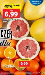 Gazetka promocyjna Lidl - GAZETKA - Gazetka - ważna od 28.12 do 28.12.2022 - strona 13 - produkty: Sok, Pomarańcze, Pomelo, LUSTi