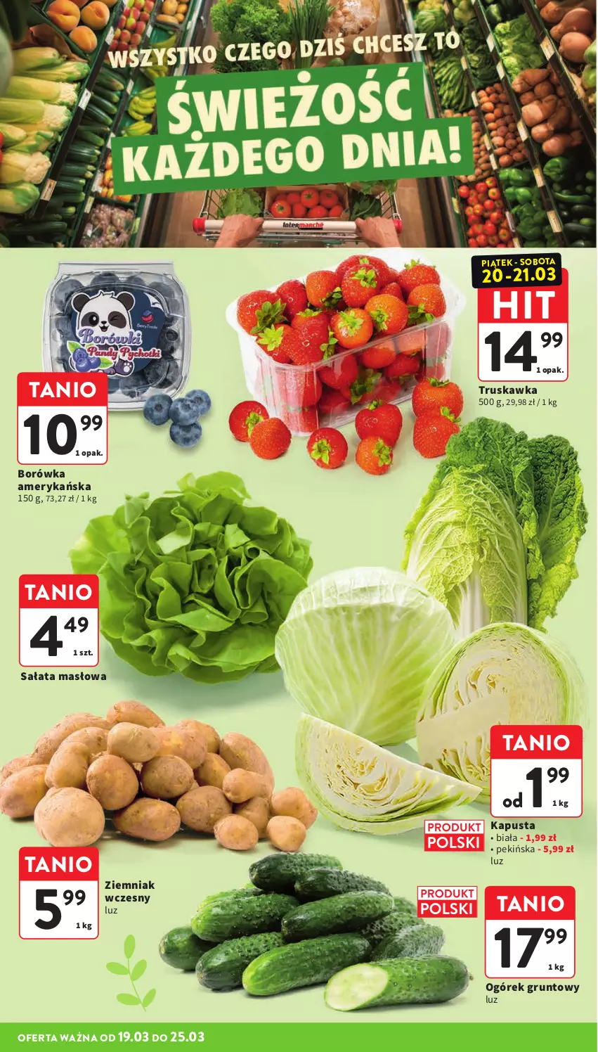 Gazetka promocyjna Intermarche - Gazetka Intermarche - ważna 19.03 do 25.03.2026 - strona 20 - produkty: Borówka, Borówka amerykańska, Grunt, Masło, Ogórek, Sałat, Sałata masłowa