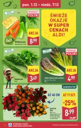 Gazetka promocyjna Aldi - Pełna oferta - Gazetka - ważna od 07.12 do 07.12.2025 - strona 6 - produkty: Sok, Sałat, Bukiet