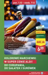 Gazetka promocyjna Aldi - Pełna oferta - Gazetka - ważna od 07.12 do 07.12.2025 - strona 7 - produkty: Sałat