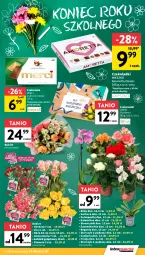 Gazetka promocyjna Intermarche - Gazetka Intermarche - Gazetka - ważna od 02.07 do 02.07.2025 - strona 21 - produkty: Piwo, Gerber, Róża, Primavera, Chia, Kalanchoe, Storczyk, Czekolada, Prima, Bukiet, Merci