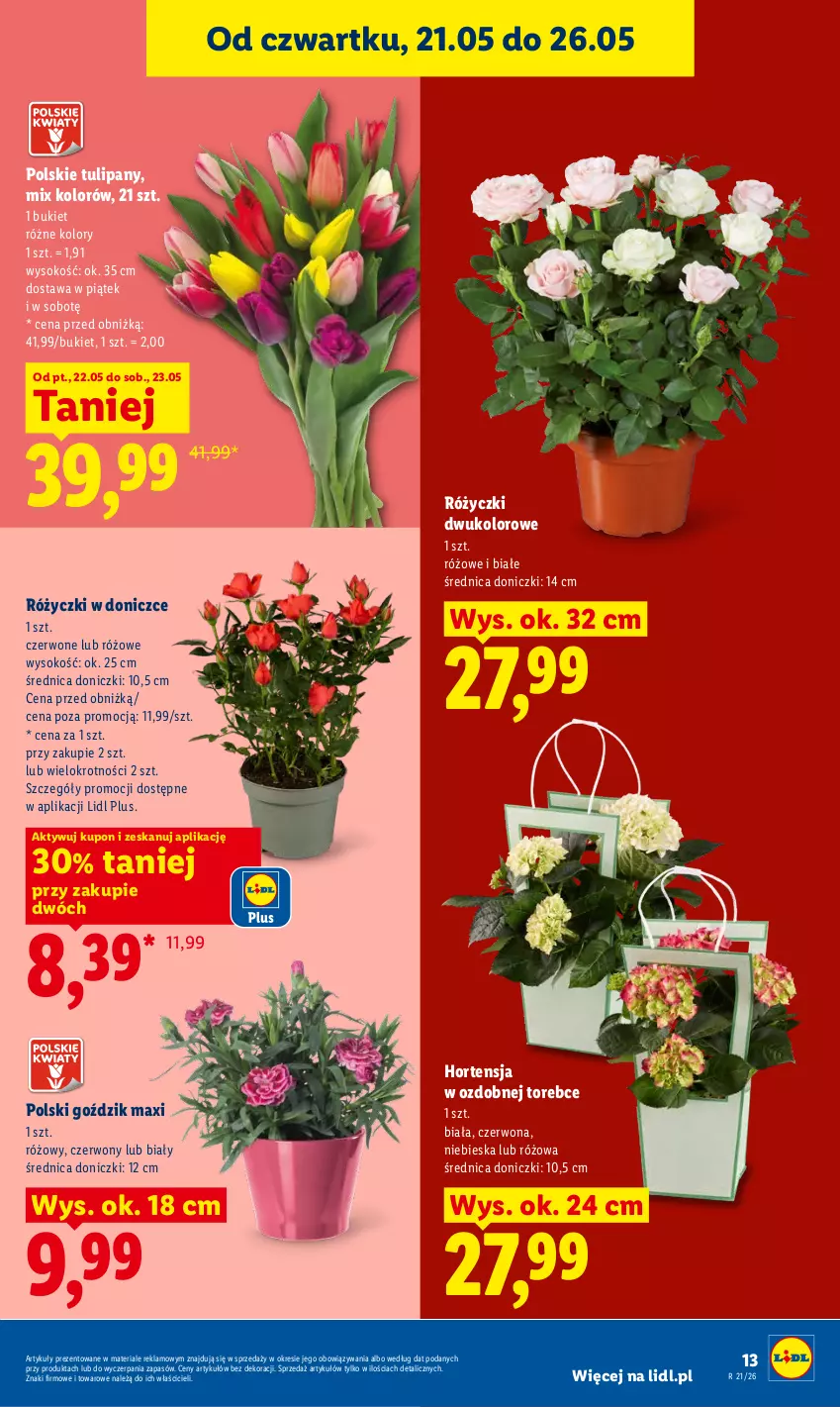 Gazetka promocyjna Lidl - Gazetka ważna od 21.05 do 23.05 - ważna 21.05 do 23.05.2026 - strona 13 - produkty: Bukiet, Sok, Tulipan