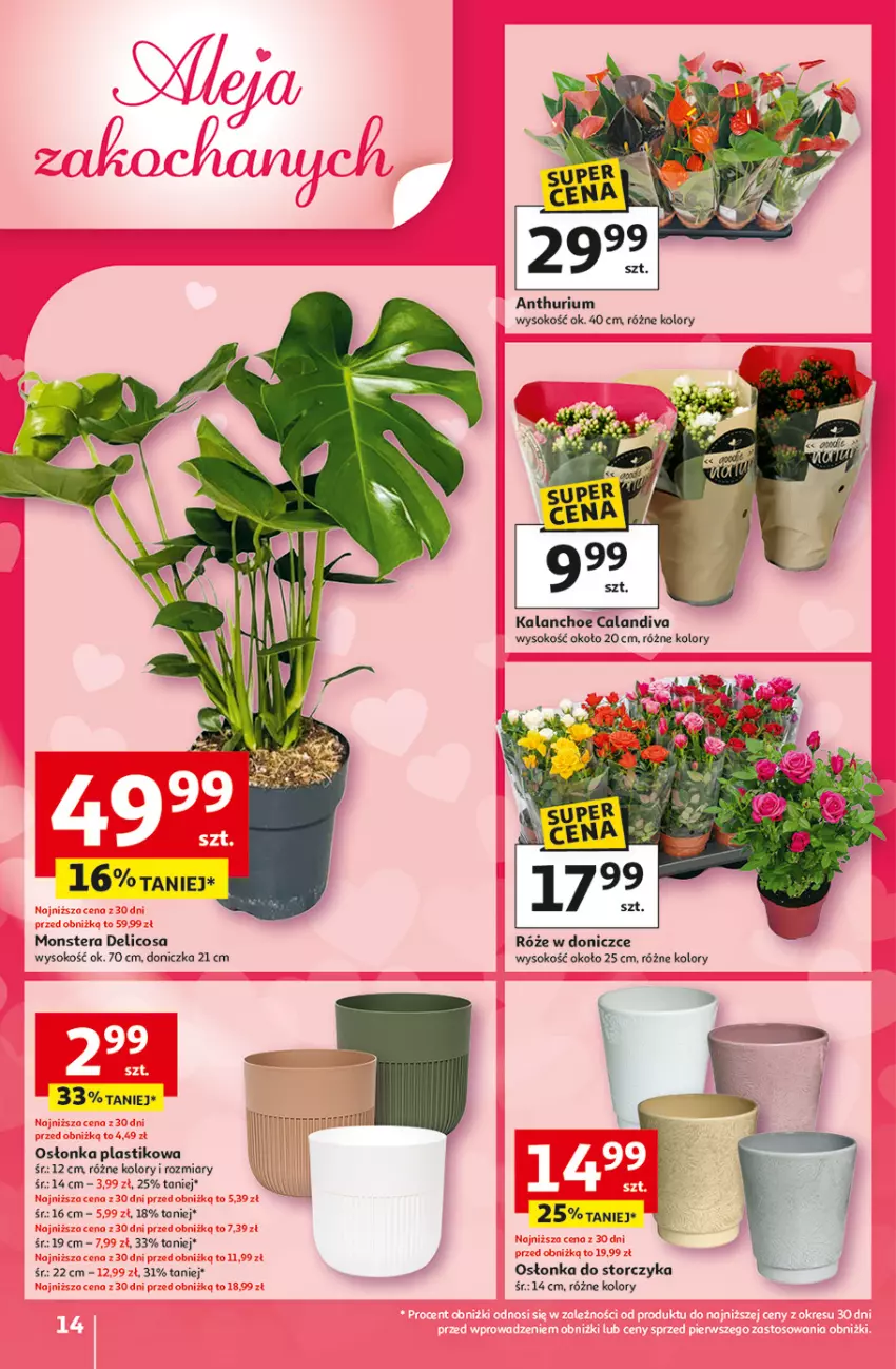 Gazetka promocyjna Auchan - Gazetka 30 Lat Hipermarket Auchan - ważna 05.02 do 11.02.2026 - strona 14 - produkty: Kalanchoe, Osłonka, Sok, Storczyk, Tera