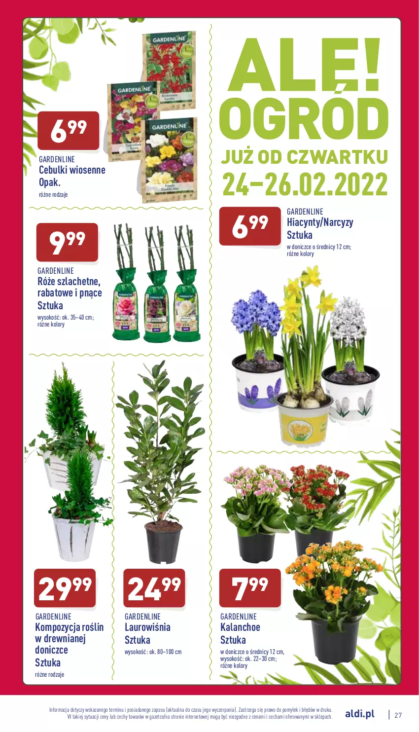 Gazetka promocyjna Aldi - Katalog spożywczy - ważna 21.02 do 26.02.2022 - strona 27 - produkty: Hiacynt, Kalanchoe, Laur, Narcyz, Sok