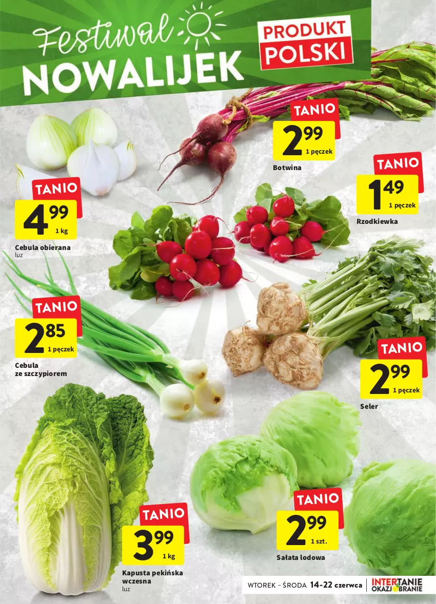 Gazetka promocyjna Intermarche - Okazjobranie - ważna 14.06 do 22.06.2022 - strona 11 - produkty: Cebula, Rzodkiewka, Sałat, Sałata lodowa