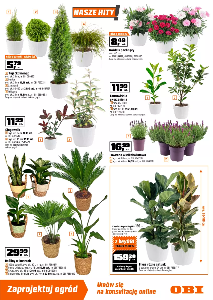 Gazetka promocyjna Obi - Gazetka OBI - ważna 07.04 do 21.04.2026 - strona 3 - produkty: Aksam, Kask, Kosz, Laur, Ogród, Palma, Truskawki