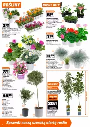 Gazetka promocyjna Obi - Gazetka OBI - Gazetka - ważna od 21.04 do 21.04.2026 - strona 2 - produkty: Truskawki, Kask, Kosz, Palma, Laur, Aksam, Ogród