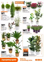 Gazetka promocyjna Obi - Gazetka OBI - Gazetka - ważna od 21.04 do 21.04.2026 - strona 3 - produkty: Truskawki, Kask, Kosz, Palma, Laur, Aksam, Ogród