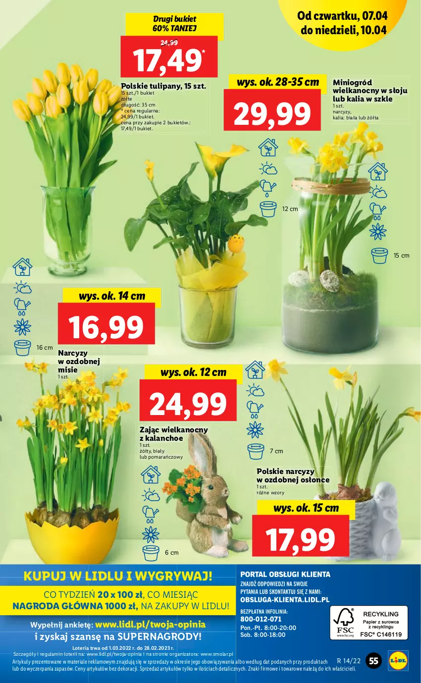 Gazetka promocyjna Lidl - GAZETKA - ważna 07.04 do 10.04.2022 - strona 55 - produkty: Bukiet, Gry, Kalanchoe, Mola, Narcyz, Ogród, Tulipan