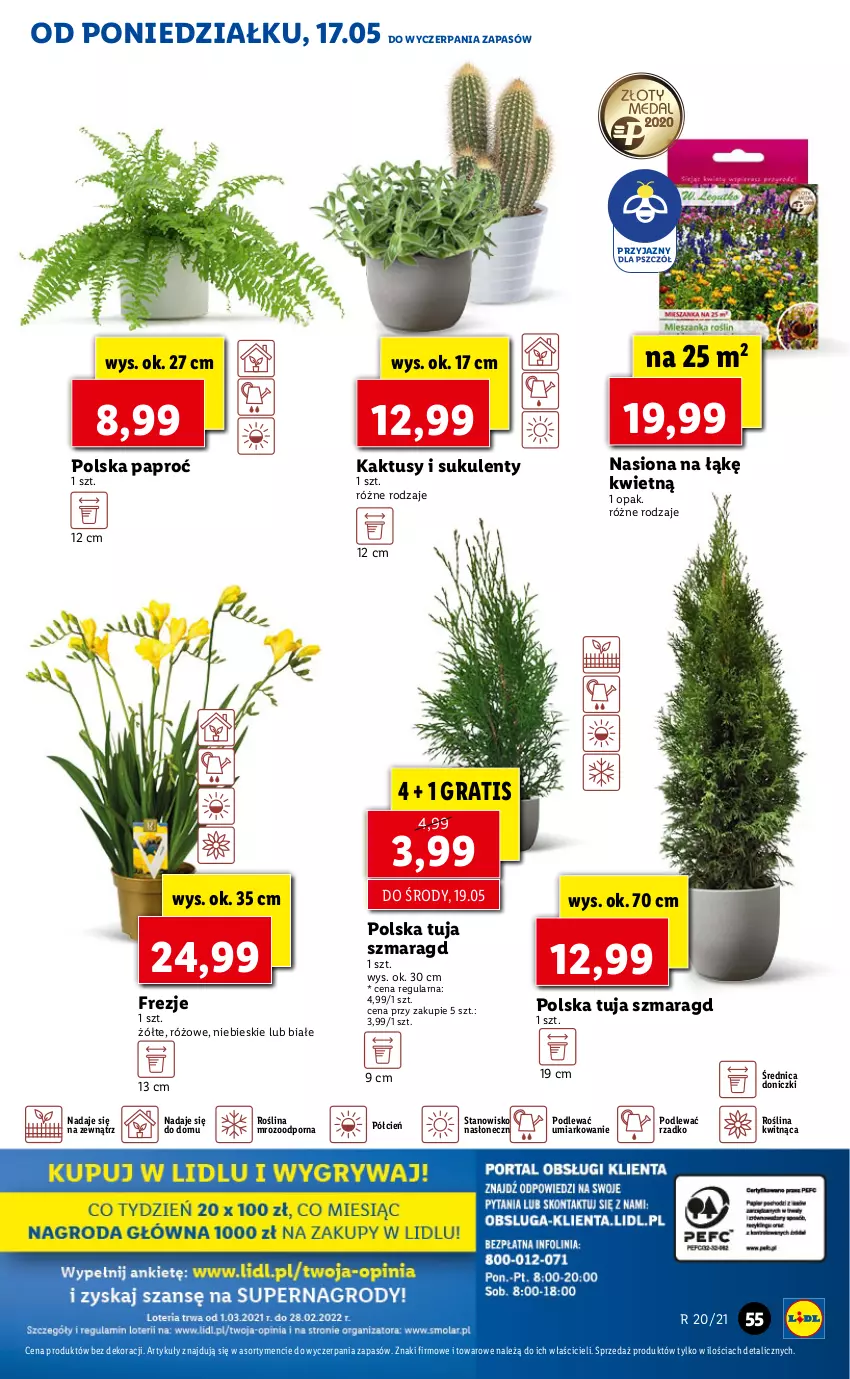 Gazetka promocyjna Lidl - GAZETKA - ważna 17.05 do 19.05.2021 - strona 55 - produkty: Cień, Gra, Kaktus, O nas, Por, Sukulent