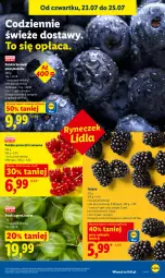 Gazetka promocyjna Lidl - Gazetka ważna od 23.07. do 25.07. - Gazetka - ważna od 25.07 do 25.07.2026 - strona 51 - produkty: Por, Jeżyny, Porzeczki czerwone, Gres