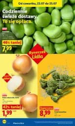 Gazetka promocyjna Lidl - Gazetka ważna od 23.07. do 25.07. - Gazetka - ważna od 25.07 do 25.07.2026 - strona 52 - produkty: Cebula