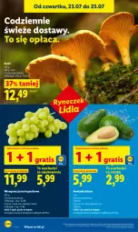 Gazetka promocyjna Lidl - Gazetka ważna od 23.07. do 25.07. - Gazetka - ważna od 25.07 do 25.07.2026 - strona 54 - produkty: Gra, Winogrona, Wino