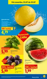 Gazetka promocyjna Lidl - Gazetka ważna od 23.07. do 25.07. - Gazetka - ważna od 25.07 do 25.07.2026 - strona 55 - produkty: Dron, Arbuz, Melon