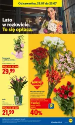 Gazetka promocyjna Lidl - Gazetka ważna od 23.07. do 25.07. - Gazetka - ważna od 25.07 do 25.07.2026 - strona 97 - produkty: Gra, Kwiaty cięte, Bukiet, Grafika