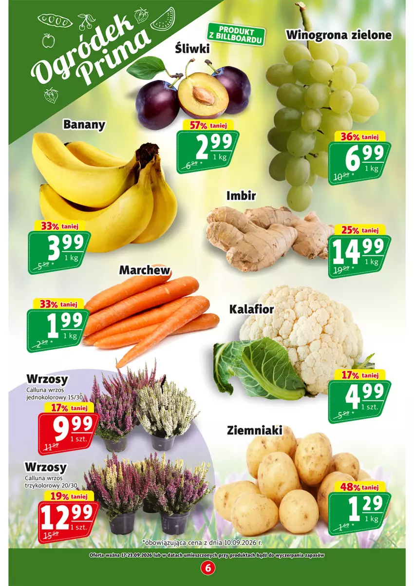 Gazetka promocyjna Prim Market - ważna 17.09 do 23.09.2026 - strona 6 - produkty: Wino, Ziemniaki