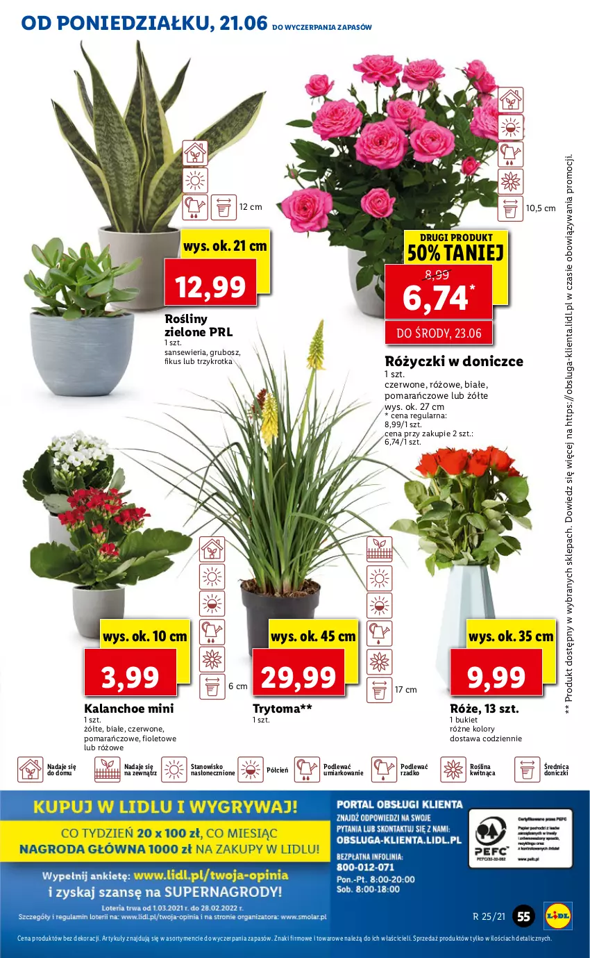 Gazetka promocyjna Lidl - GAZETKA - ważna 21.06 do 23.06.2021 - strona 55 - produkty: Bukiet, Cień, Kalanchoe, O nas