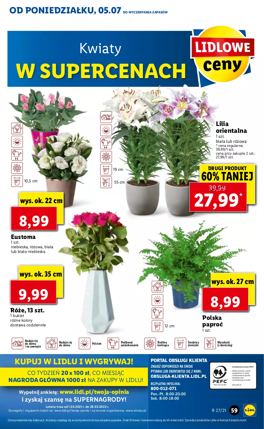 Gazetka promocyjna Lidl - GAZETKA - ważna 05.07 do 07.07.2021 - strona 59 - produkty: Bukiet, Cień, Gry, Mola, Sok