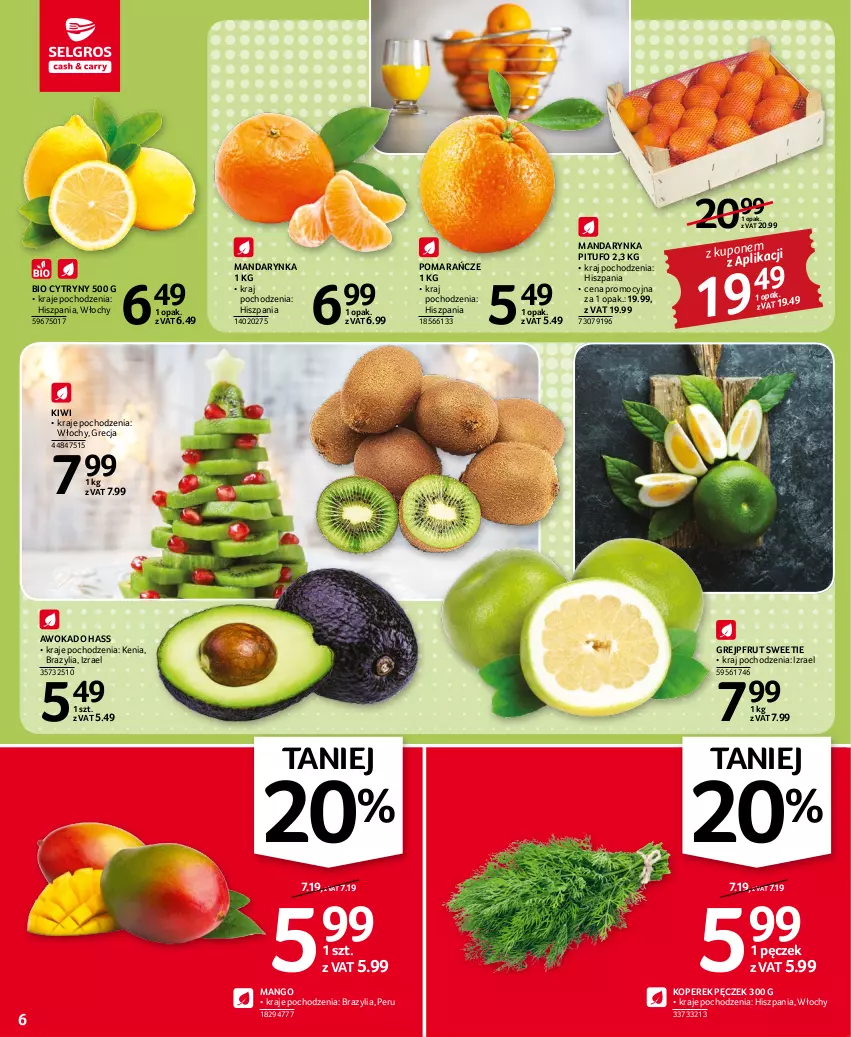 Gazetka promocyjna Selgros - Oferta spożywcza - ważna 17.11 do 30.11.2022 - strona 6 - produkty: Cytryny, Grejpfrut, Kiwi, Koperek pęczek, Mango, Pomarańcze