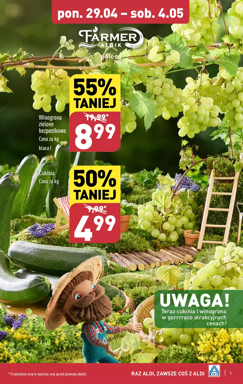 Gazetka promocyjna Aldi - Pełna oferta - ważna 29.04 do 04.05.2024 - strona 5 - produkty: Tera, Waga, Wino, Winogrona