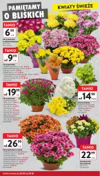 Gazetka promocyjna Intermarche - Gazetka Intermarche - Gazetka - ważna od 29.10 do 29.10.2025 - strona 4 - produkty: Chryzantema, Bukiet, Mięta