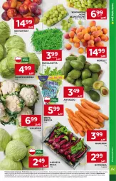 Gazetka promocyjna Stokrotka - Market - Gazetka - ważna od 05.06 do 05.06.2024 - strona 9 - produkty: Kalafior, Inka, Sałata lodowa, Rukola, Sałat, Winogrona, Wino, Mięta, Nektar, HP