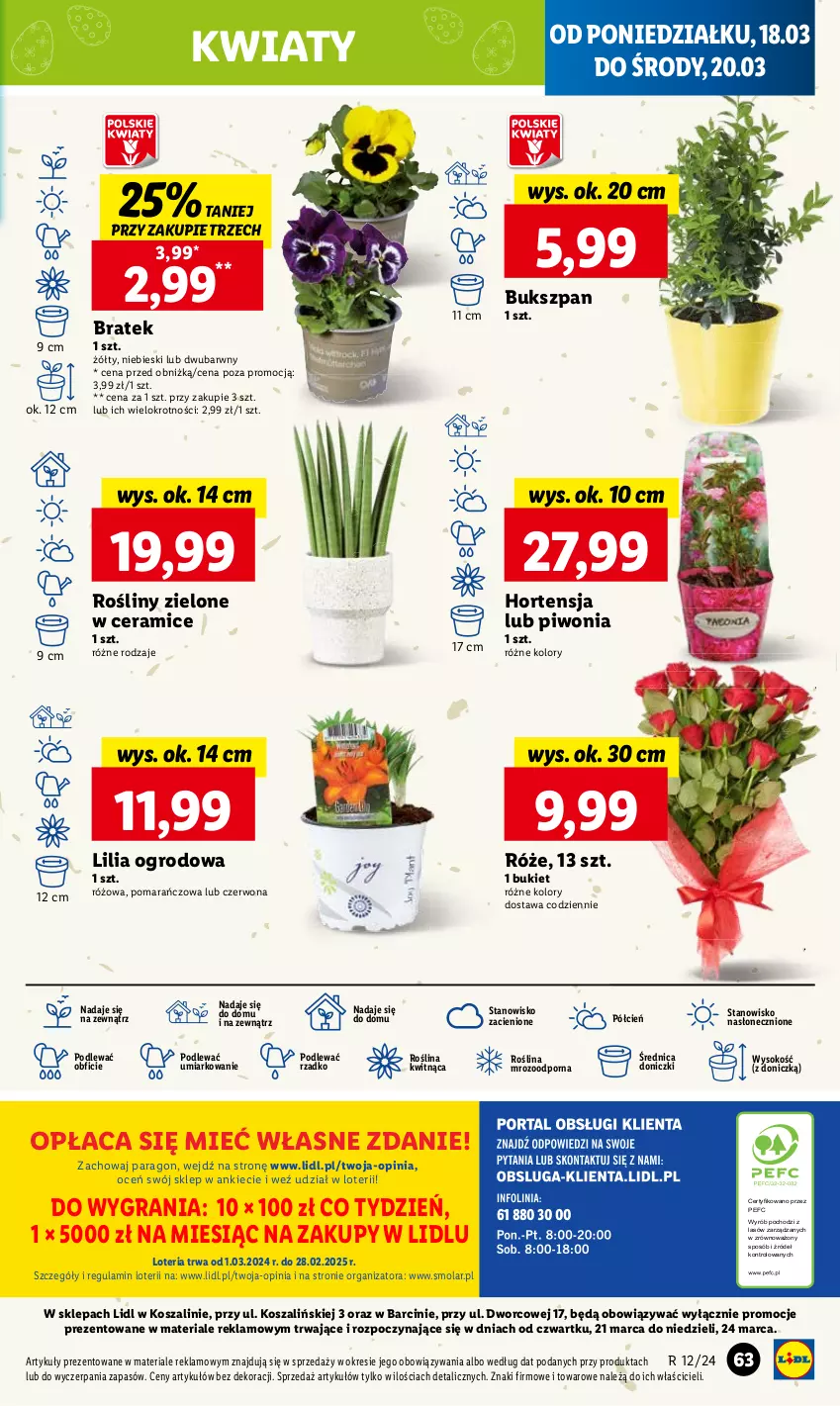 Gazetka promocyjna Lidl - GAZETKA - ważna 18.03 do 20.03.2024 - strona 71 - produkty: Bukiet, Cień, Gra, Kosz, Mola, O nas, Piwo, Por, Sok, Szal