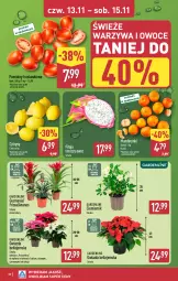 Gazetka promocyjna Aldi - Pełna oferta - Gazetka - ważna od 15.11 do 15.11.2025 - strona 30 - produkty: Mandarynki, Warzywa, Warzywa i owoce, Cytryny, Ananas, Gwiazda, Siatka, Owoce, Pomidory