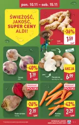 Gazetka promocyjna Aldi - Pełna oferta - Gazetka - ważna od 15.11 do 15.11.2025 - strona 5 - produkty: Piec, Czosnek, Buraki, Imbir