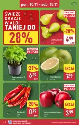 Gazetka promocyjna Aldi - Pełna oferta - Gazetka - ważna od 15.11 do 15.11.2025 - strona 6 - produkty: Papryka, Gruszki, Bazyl, Bazylia, Jabłka, Grejpfrut