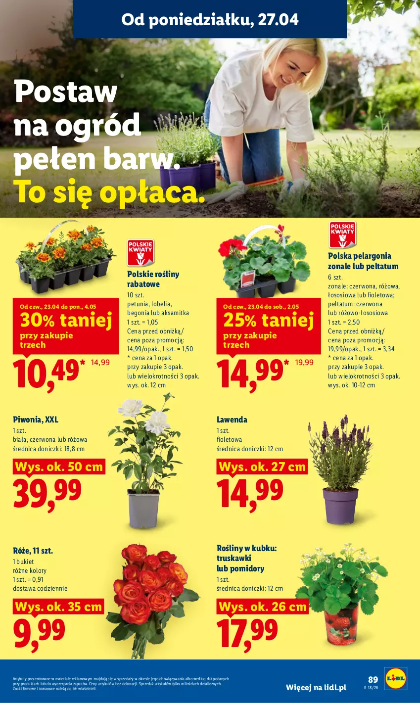 Gazetka promocyjna Lidl - Gazetka ważna od 27.04 do 28.04 - ważna 27.04 do 28.04.2026 - strona 89 - produkty: Aksam, Bukiet, Ogród, Piwo, Pomidory, Sos, Truskawki