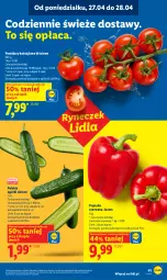 Gazetka promocyjna Lidl - Gazetka ważna od 27.04 do 28.04 - Gazetka - ważna od 28.04 do 28.04.2026 - strona 41 - produkty: Papryka czerwona, Papryka, Pomidory