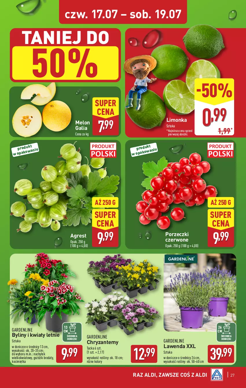 Gazetka promocyjna Aldi - Pełna oferta - ważna 14.07 do 19.07.2025 - strona 27 - produkty: Gres, Koc, Limonka, Melon, Por, Porzeczki czerwone, Sok