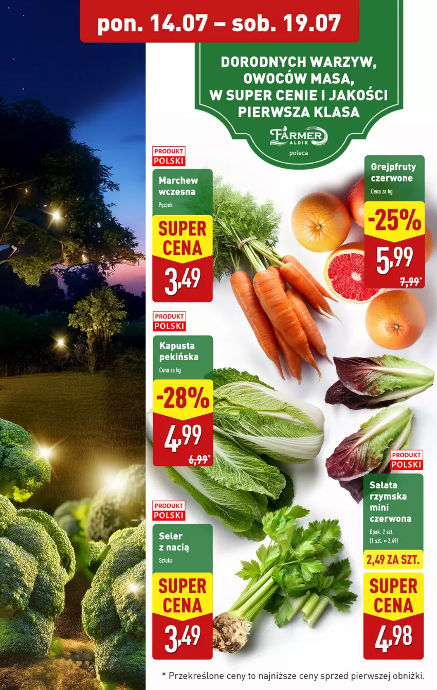 Gazetka promocyjna Aldi - Pełna oferta - ważna 14.07 do 19.07.2025 - strona 5 - produkty: Grejpfrut