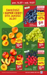 Gazetka promocyjna Aldi - Pełna oferta - Gazetka - ważna od 19.07 do 19.07.2025 - strona 3 - produkty: Jeżyny, Maliny, Winogrona, Wino, Nektar